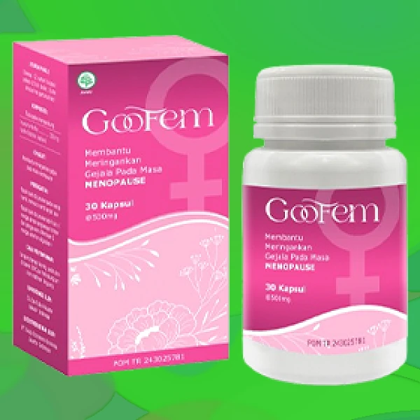 GOOFEM
