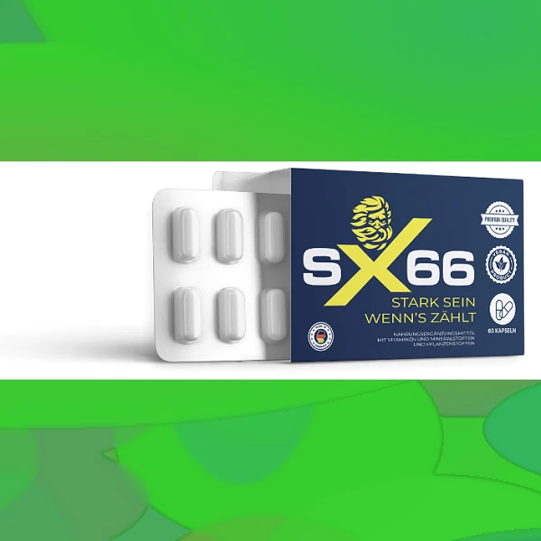 SX 66